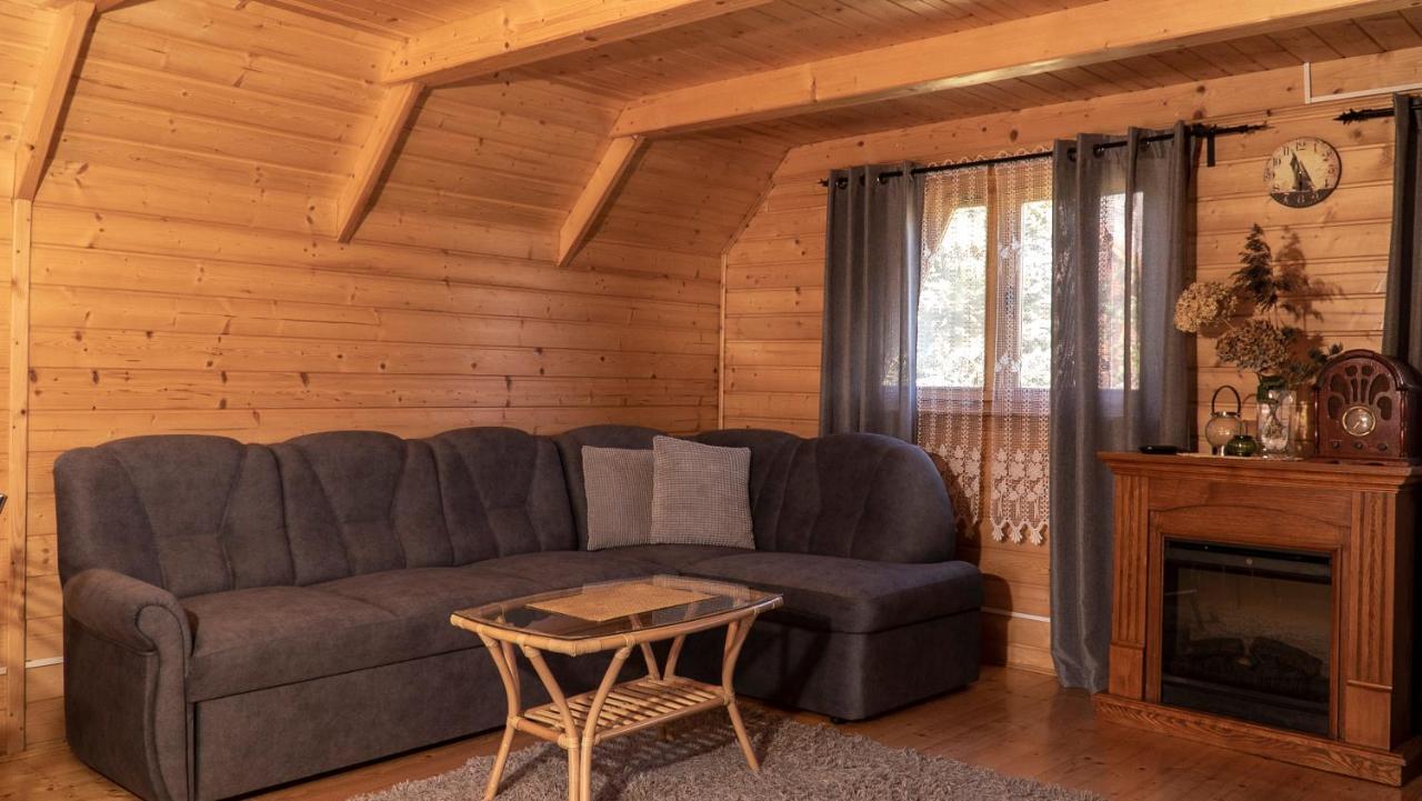Villa Sasinowe Zacisze Esterno foto